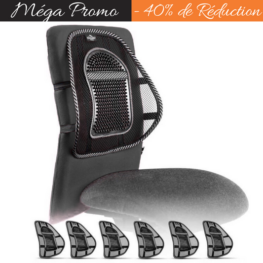 Coussin Lombaire Ergonomique